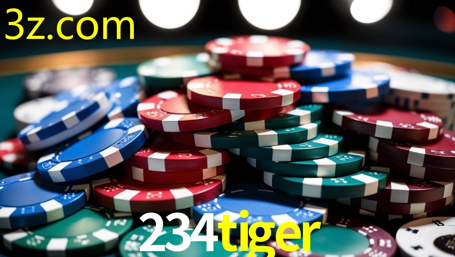 234TIGER.COM
